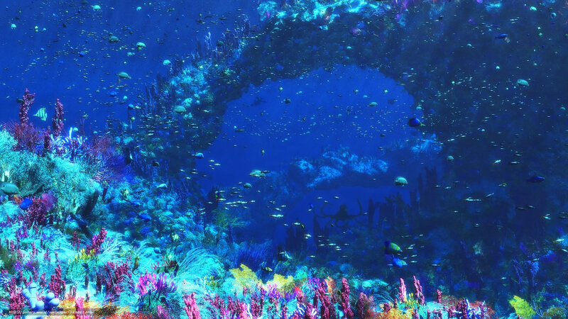 Colorful coral reef underwater