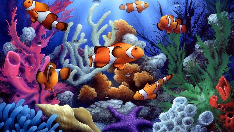 Colorful coral reef with clownfish