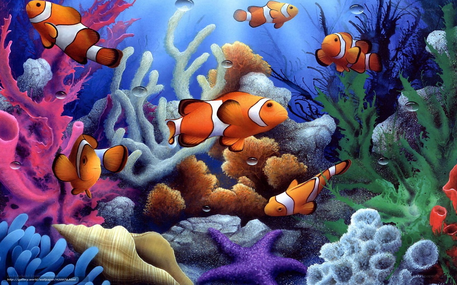 Colorful coral reef with clownfish