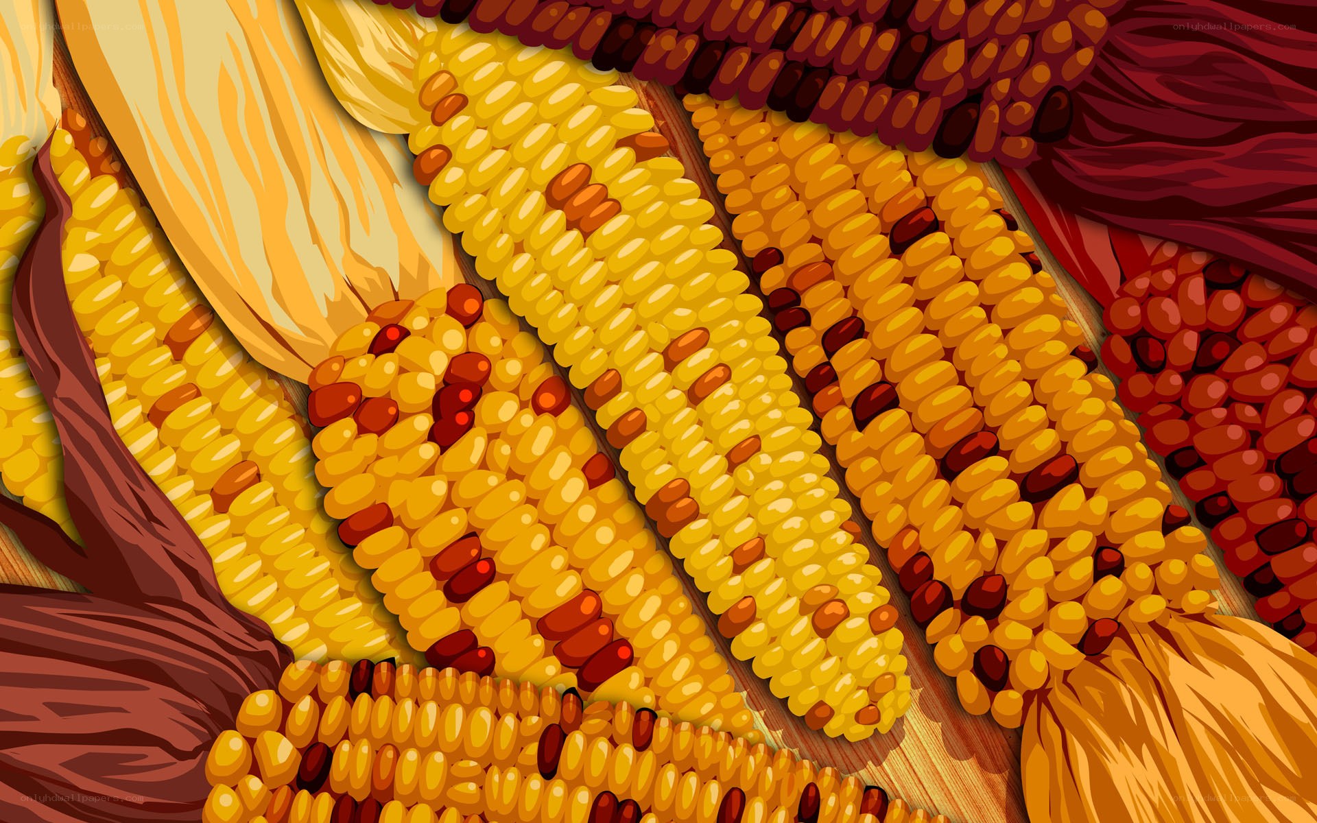 Colorful corn cobs illustration