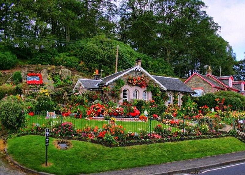 colorful cottage garden