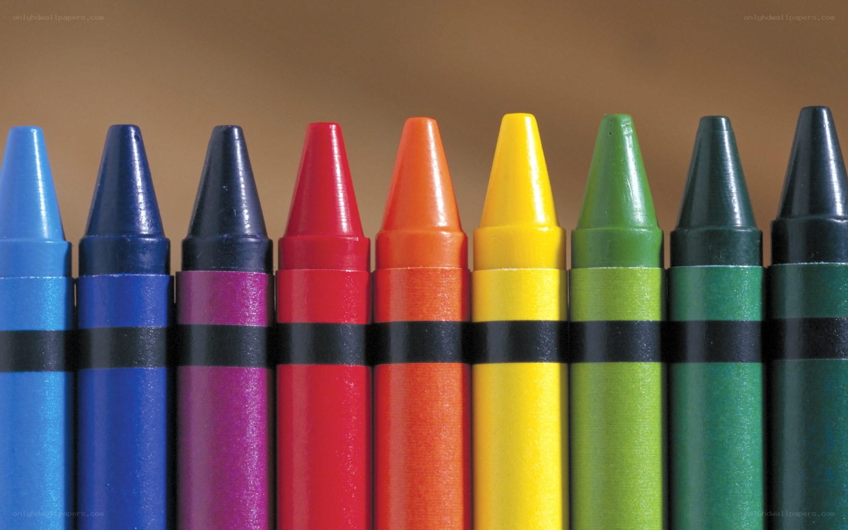 Colorful crayons in a row
