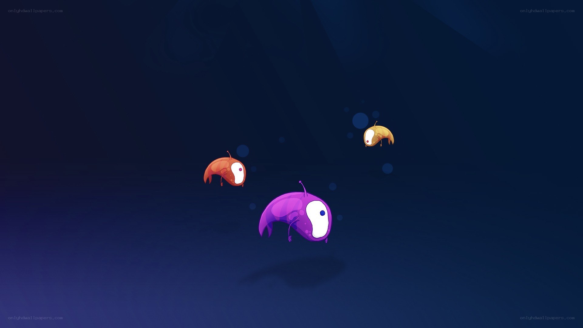Colorful creatures in dark water