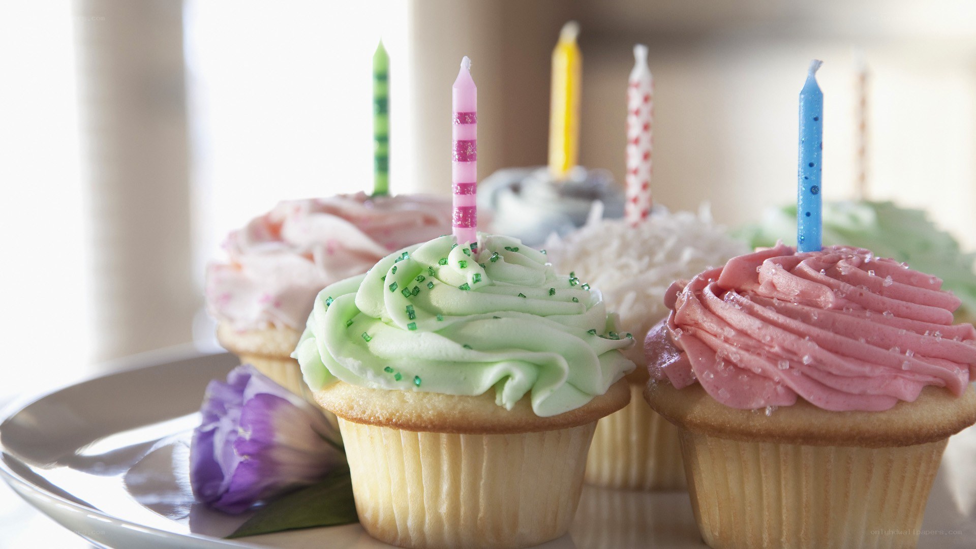 Colorful cupcakes with candles