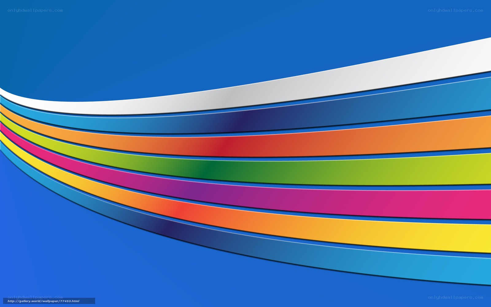 Colorful curved lines background
