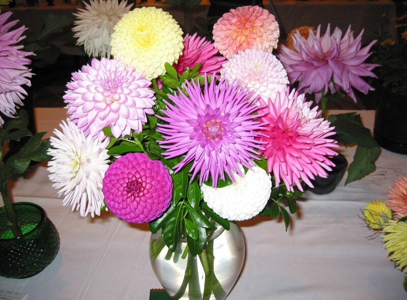 Colorful dahlia bouquet
