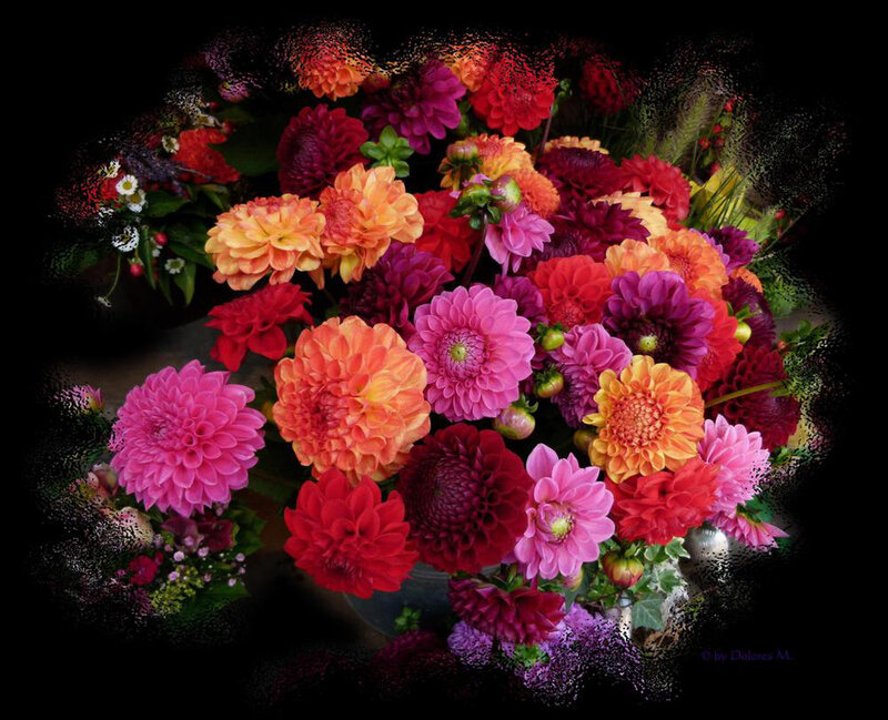 Colorful Dahlia Bouquet — Pink