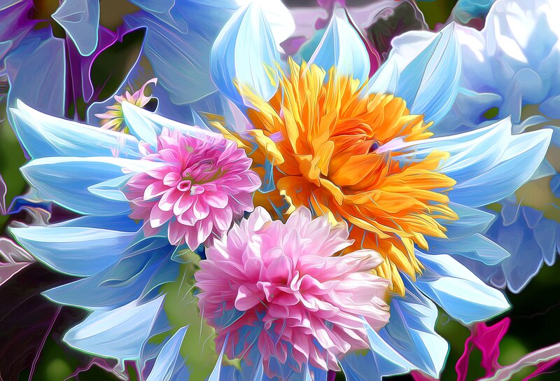 Colorful Dahlia Flowers — Pink, Vibrant, Digital Art, Petals
