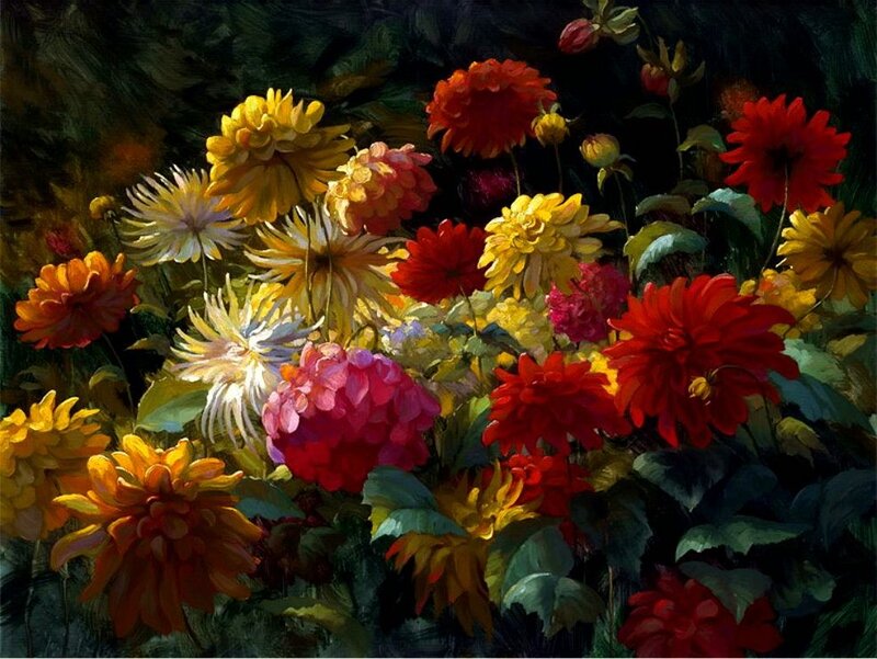 Colorful Dahlia Flowers — Red, Dramatic