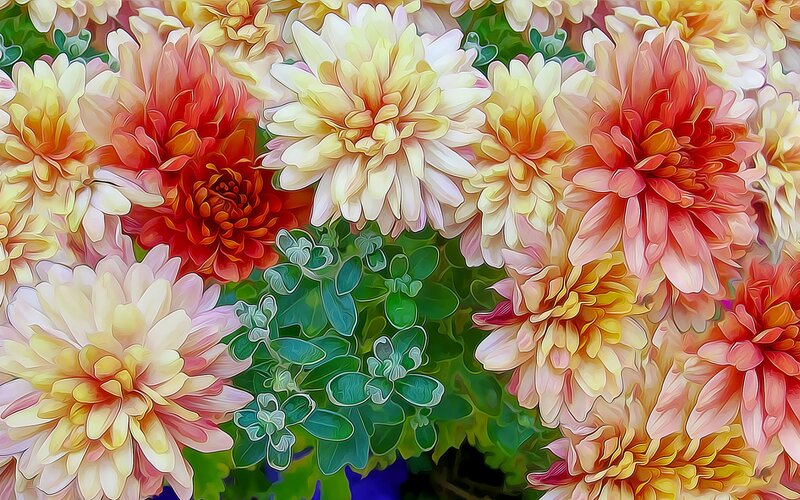 Colorful Dahlia Flowers — Yellow, Vibrant, Digital Art, Green Leaves