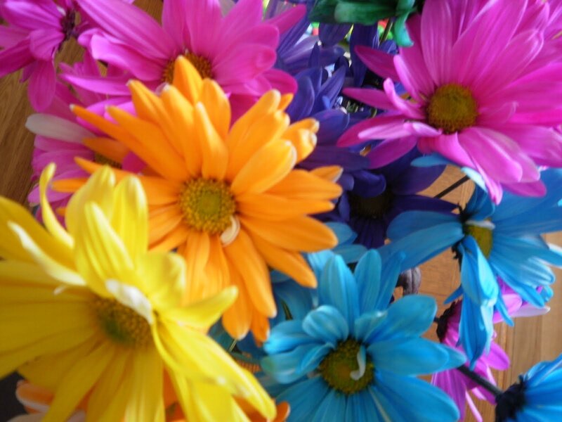 Colorful Daisies in Bouquet — Pink, Vibrant, Photograph