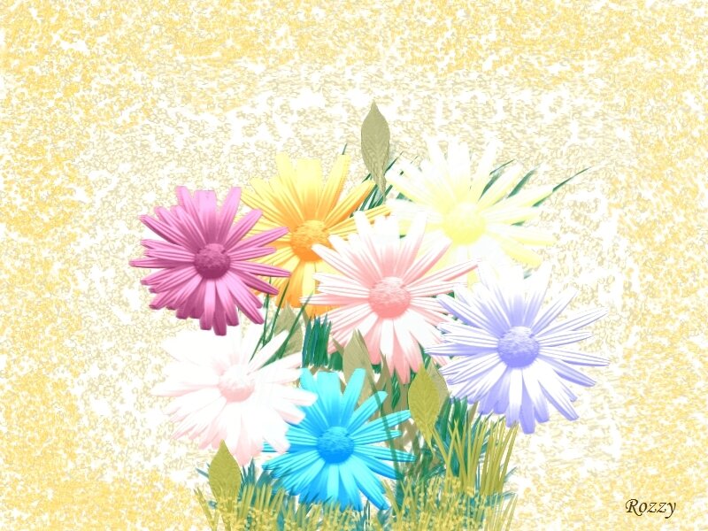 Colorful Daisies in Grass