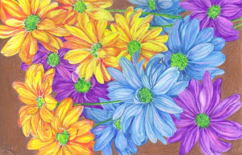Colorful Daisies