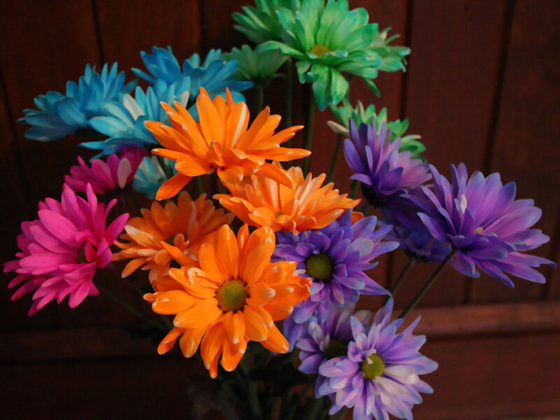 Colorful daisy bouquet