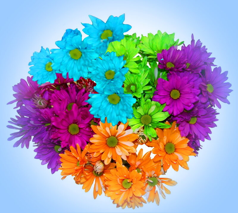 Colorful Daisy Bouquet — Blue