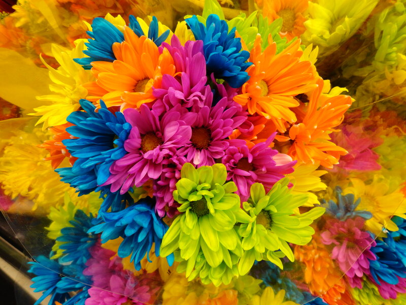 Colorful Daisy Bouquet — Blue, Vibrant