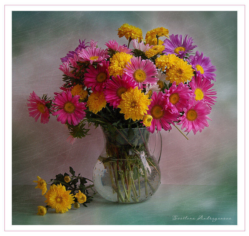 Colorful daisy bouquet in a vase