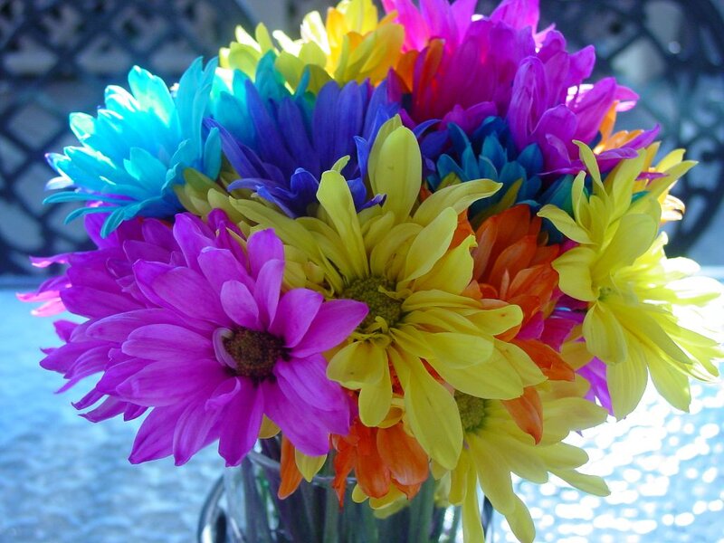 Colorful Daisy Bouquet — Purple, Bright
