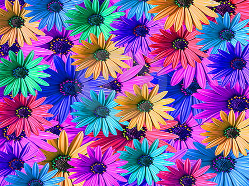 Colorful Daisy Flowers — Blue, Vibrant, Digital Art