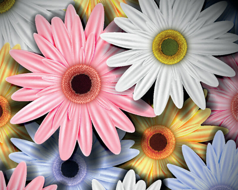 Colorful Daisy Flowers — Pink, Vibrant, Digital Art