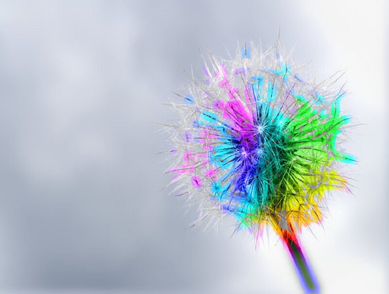 Colorful Dandelion Seed Head — Blue