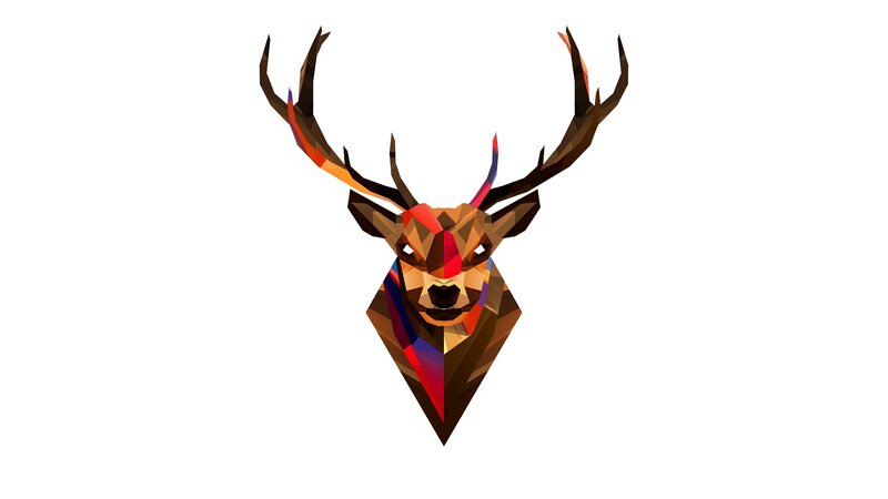 Colorful Deer Head