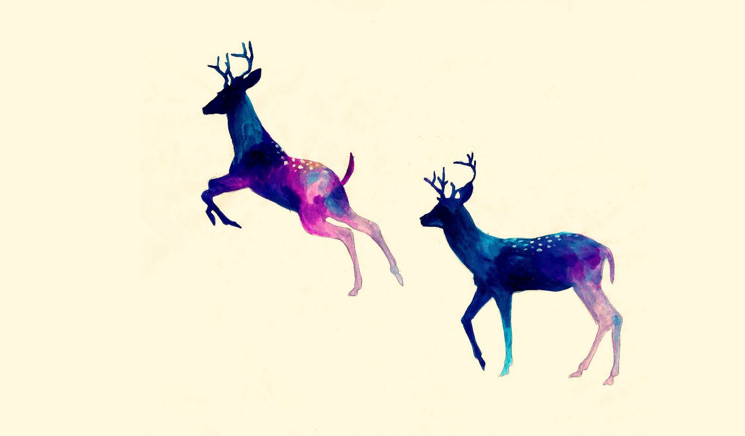 colorful deer illustration