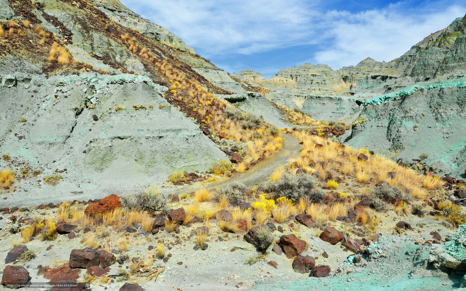 Colorful desert canyon landscape