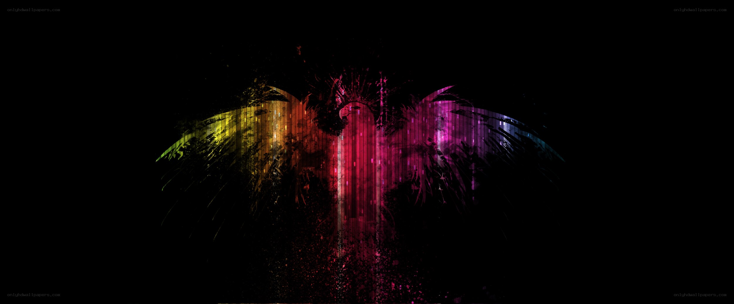 colorful digital bird wings