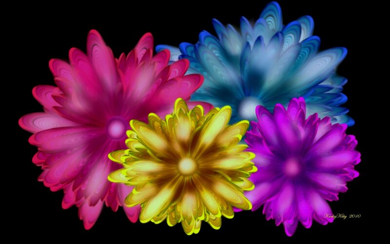 Colorful Digital Flowers — Pink, Vibrant, Digital Art, Black Background