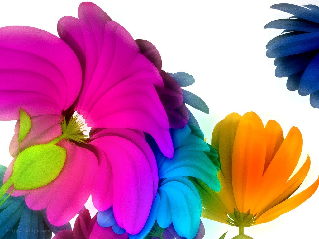 Colorful digital flowers