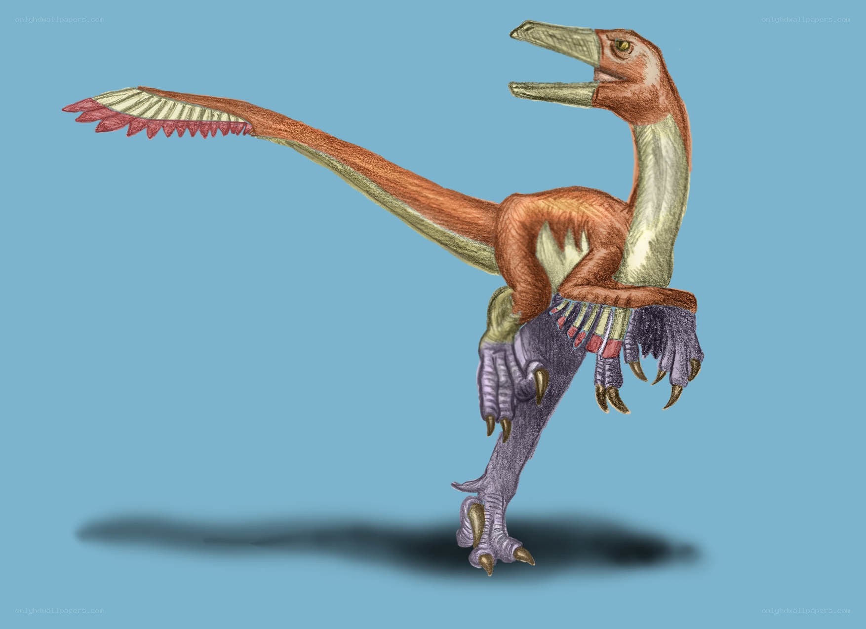 colorful dinosaur illustration