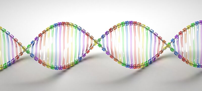 Colorful DNA double helix