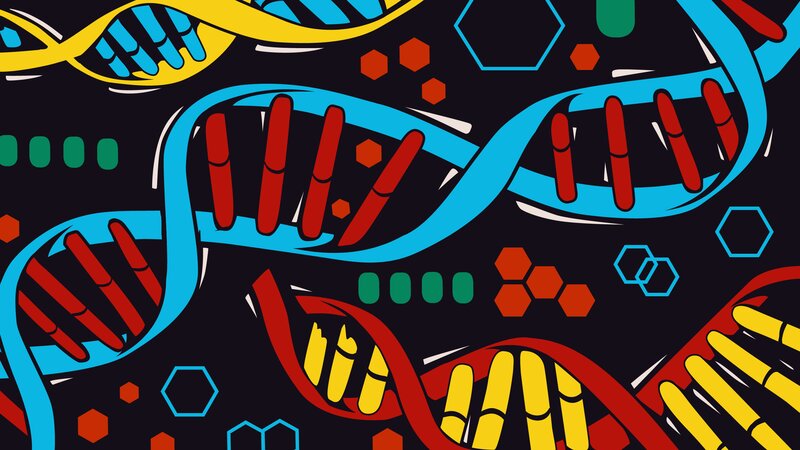 Colorful DNA Helixes