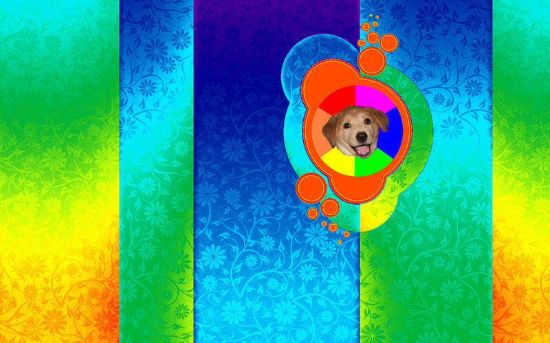 colorful dog portrait
