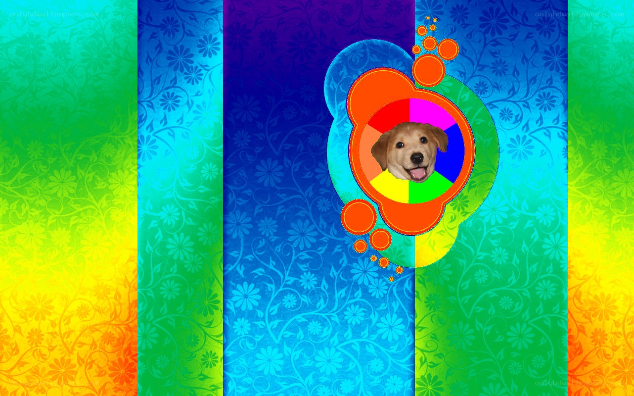 colorful dog portrait