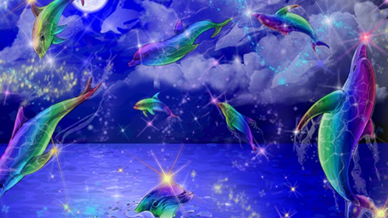 Colorful Dolphins in Water