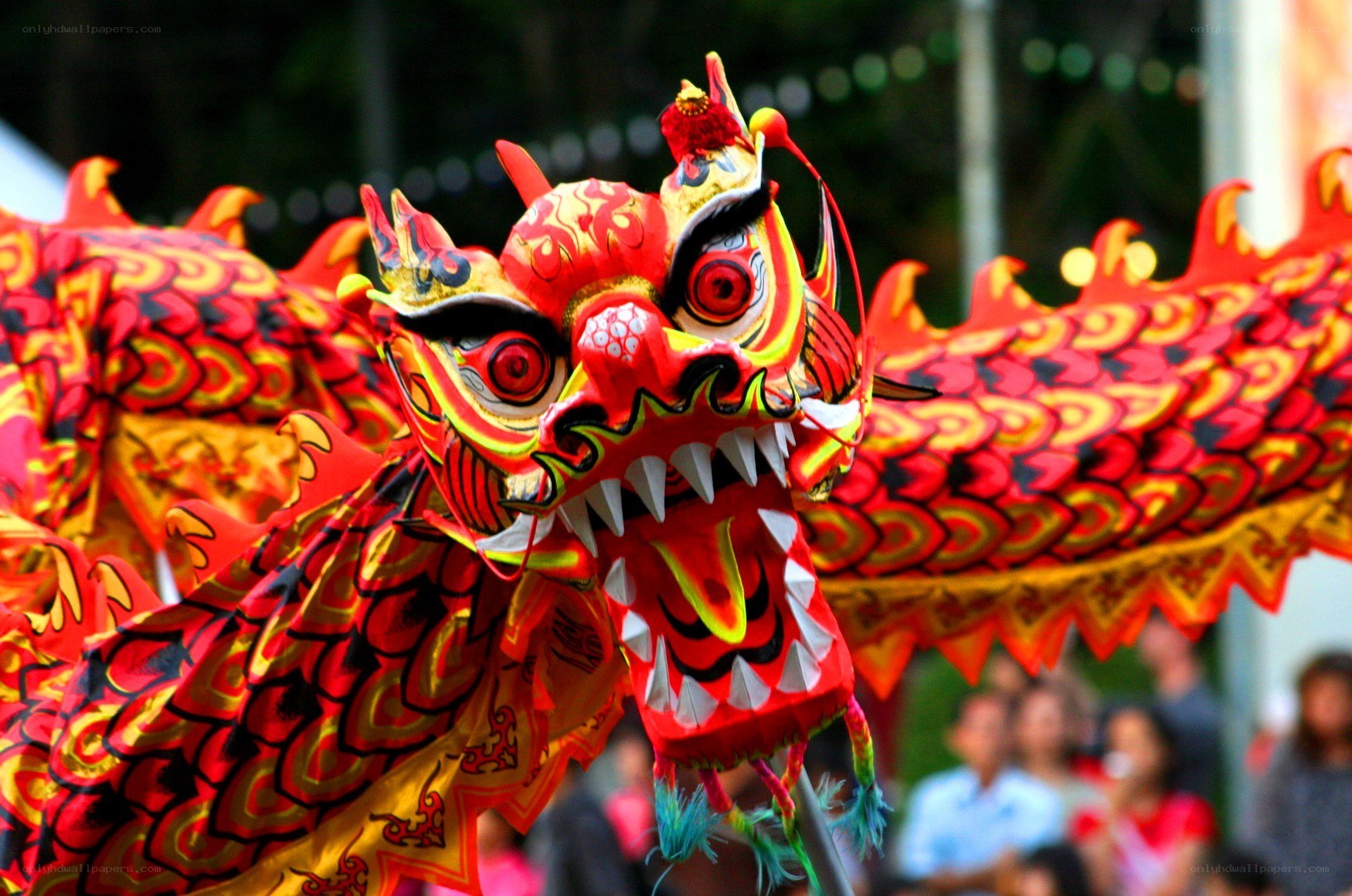 Colorful dragon dance performance