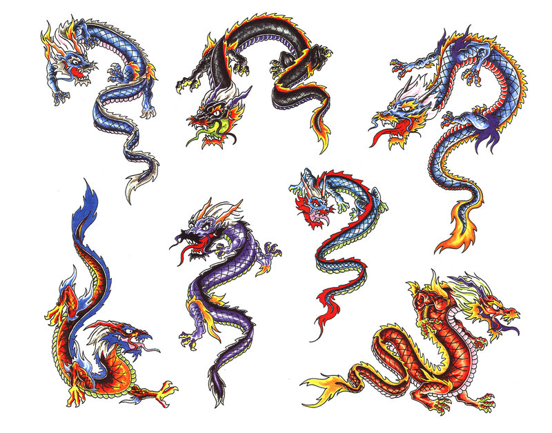 colorful dragon illustrations