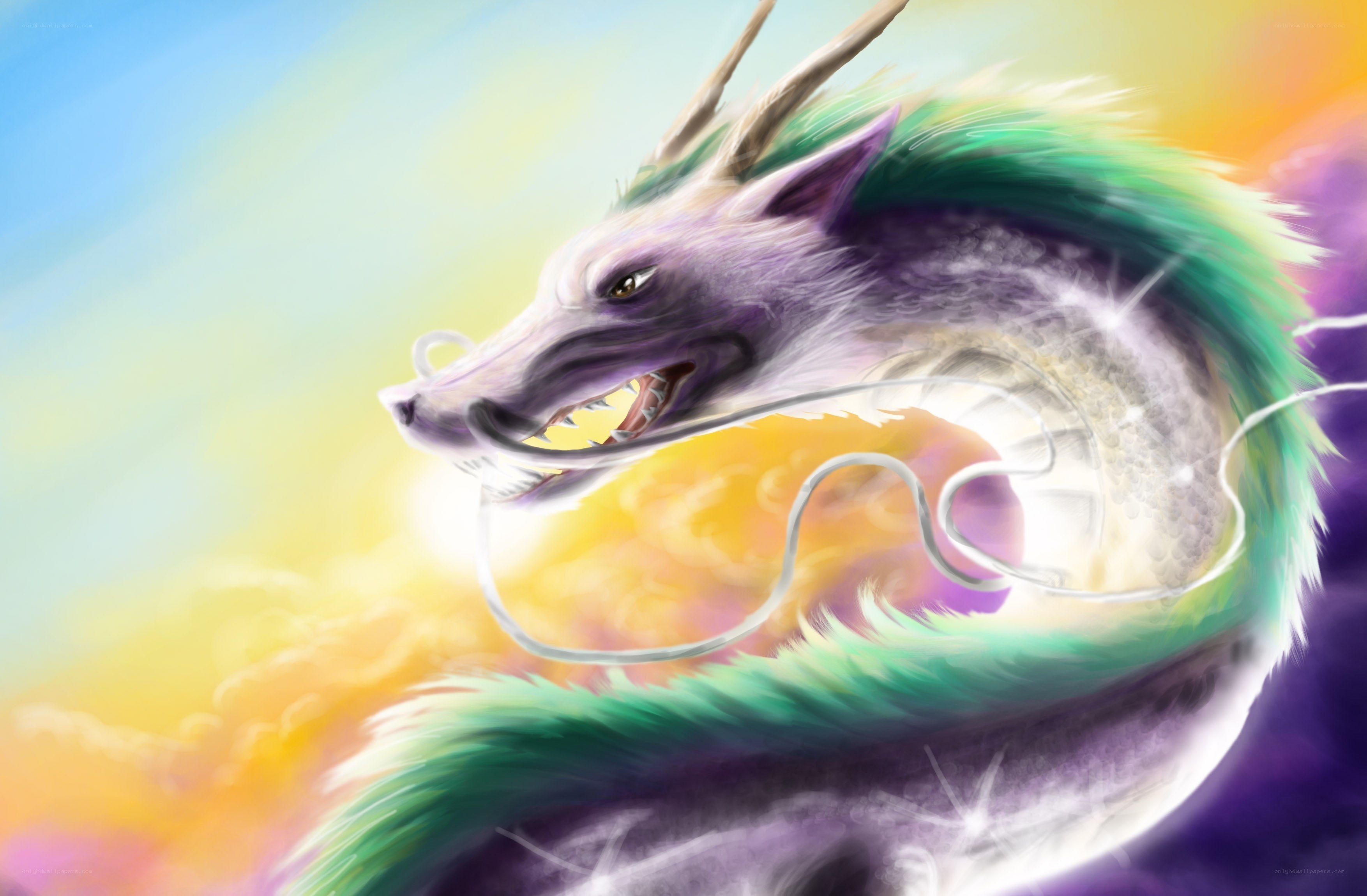 colorful dragon in sky