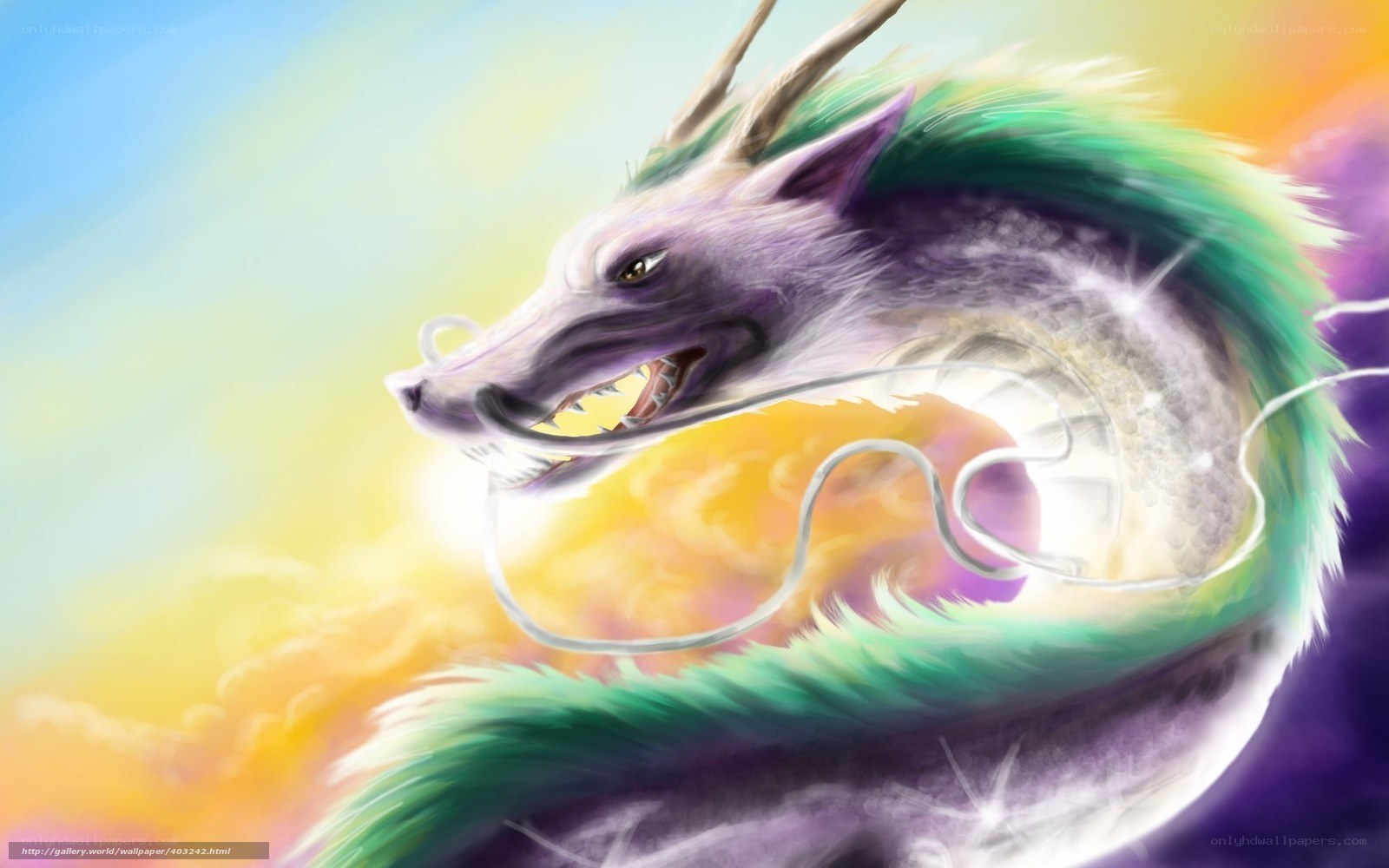 colorful dragon in sky
