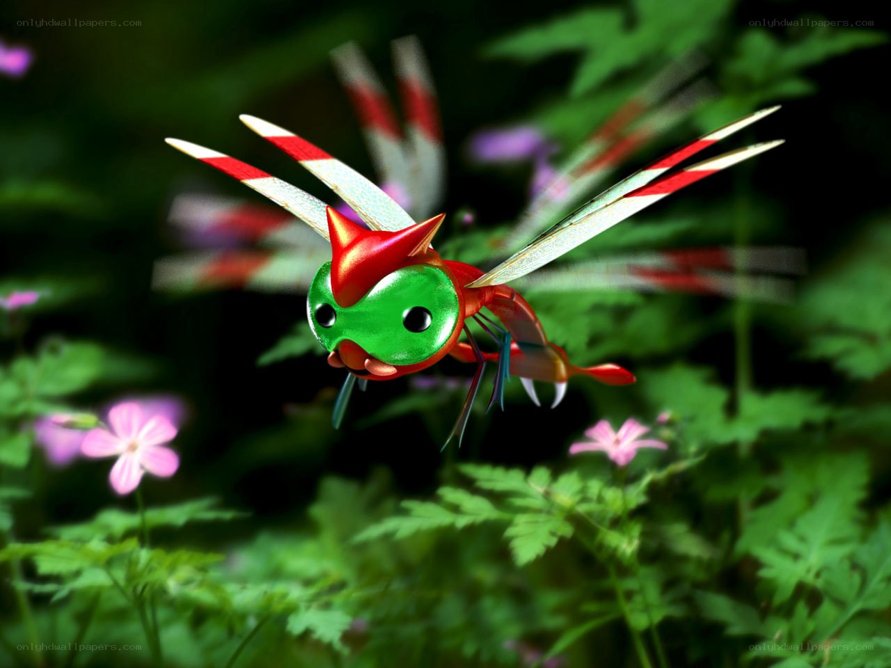 colorful dragonfly in garden