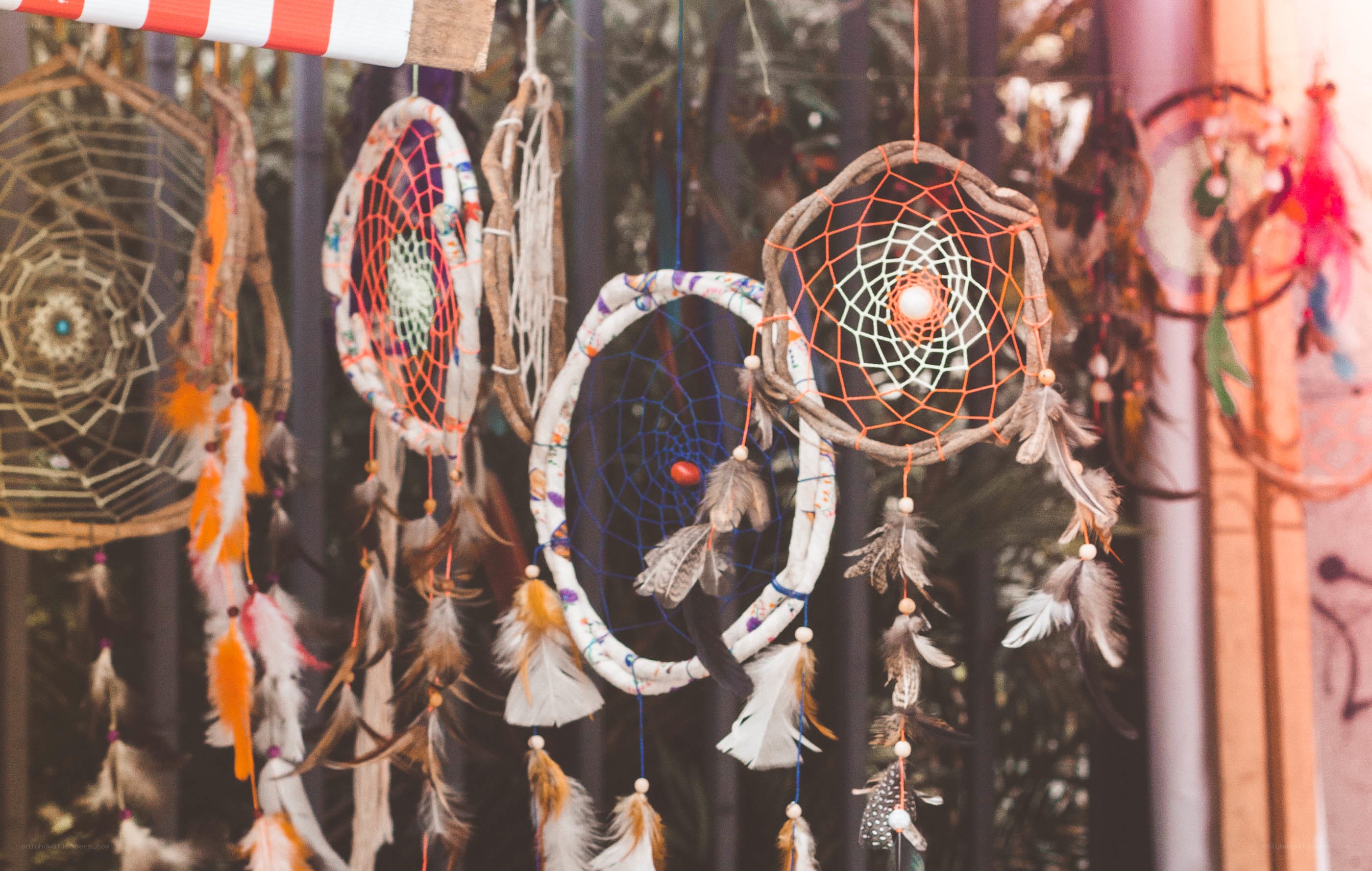 Colorful dreamcatchers hanging