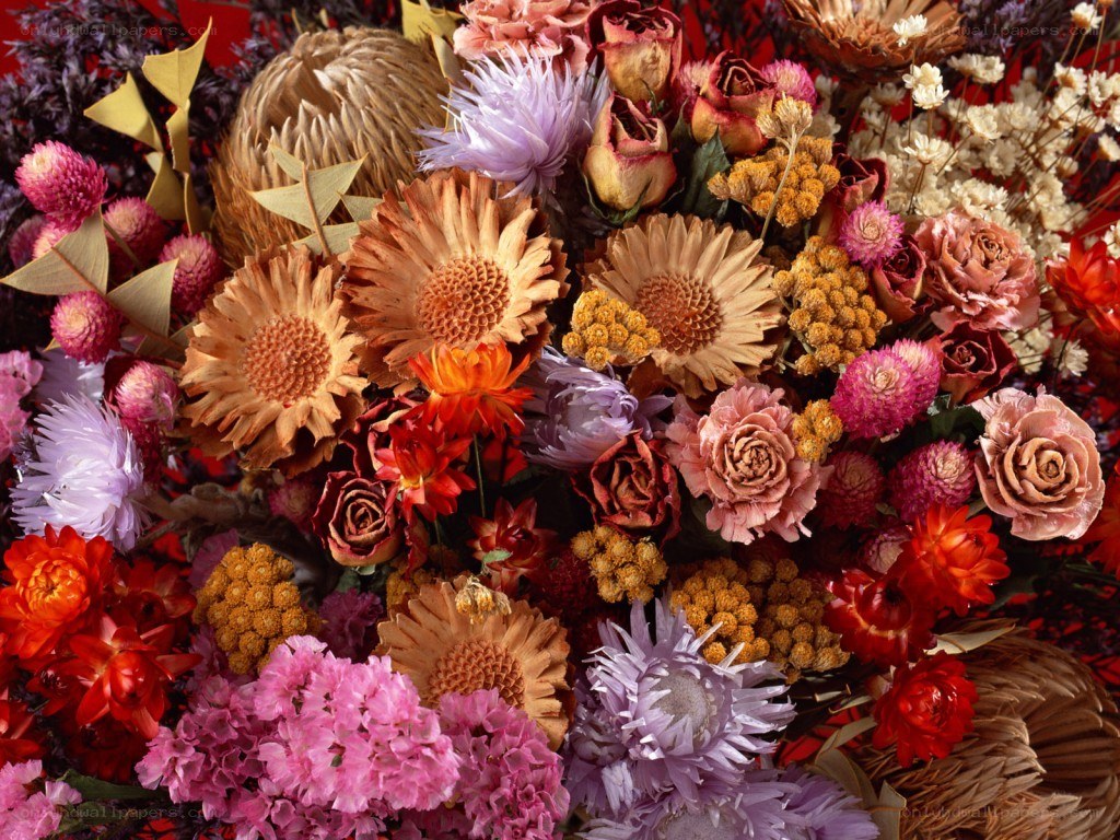 Colorful dried flower arrangement