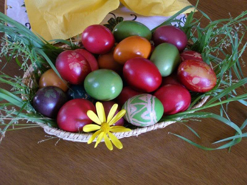 Colorful Dyed Eggs in Basket