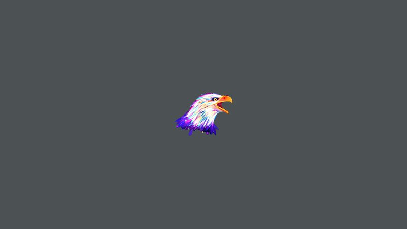 Colorful Eagle Head — Gray