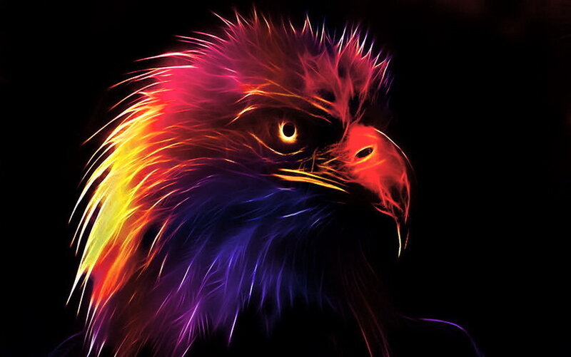 Colorful Eagle Head