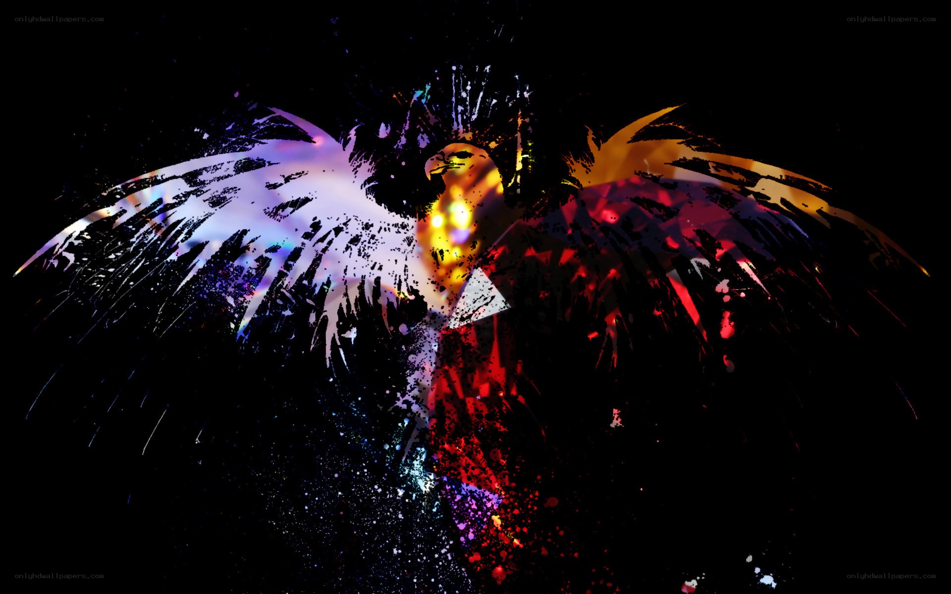 Colorful eagle with spread wings