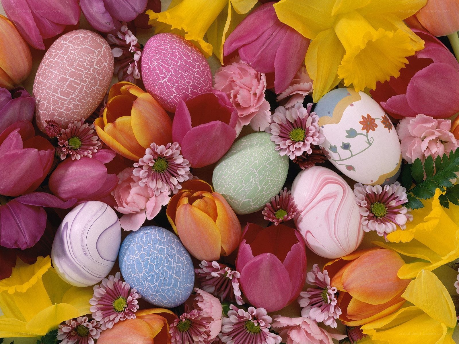 Colorful Easter eggs and flowers