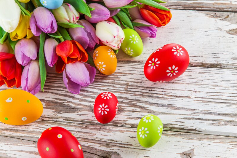 Colorful Easter Eggs and Tulips — Red